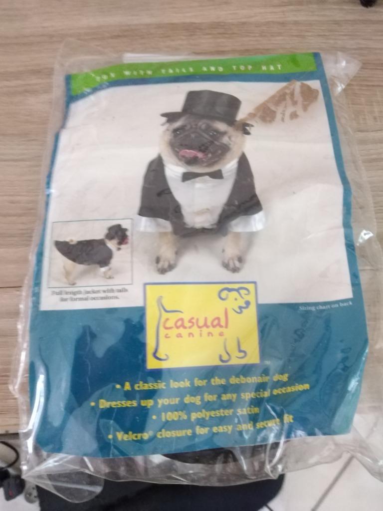 hondenkostum smal (doos augustus 2025), Ophalen of Verzenden, Zo goed als nieuw, Hondenkostuum