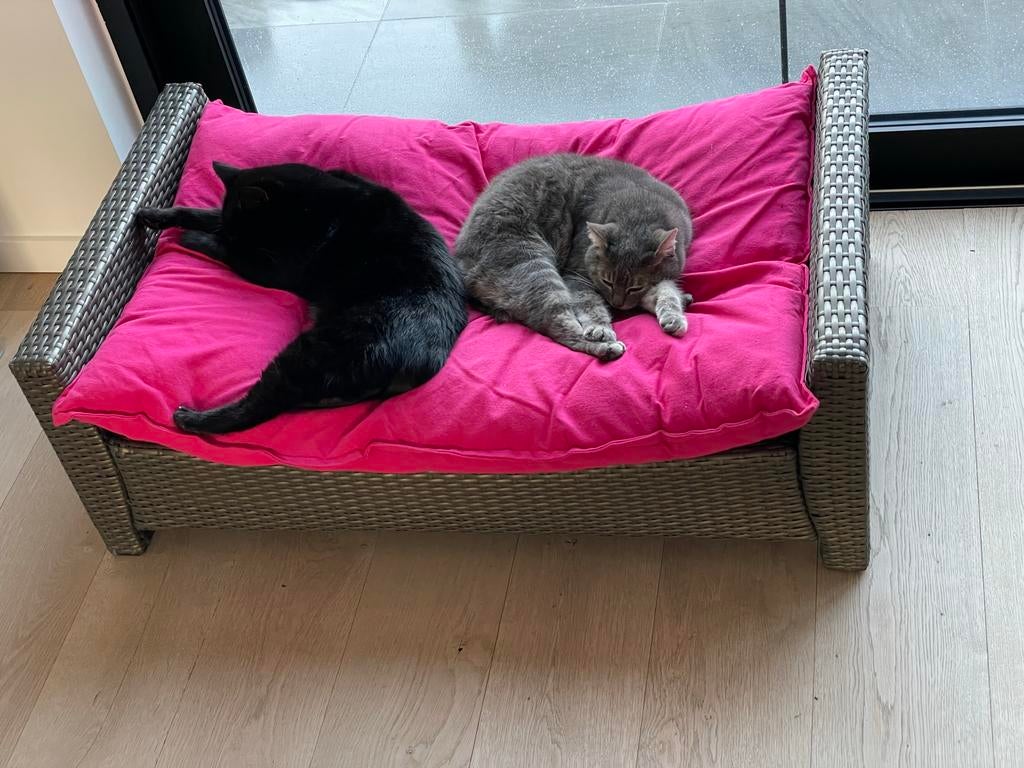 Mand voor katten-honden breedte 98 cm x 60 cm (hoogte 20-36), Ophalen, Zo goed als nieuw