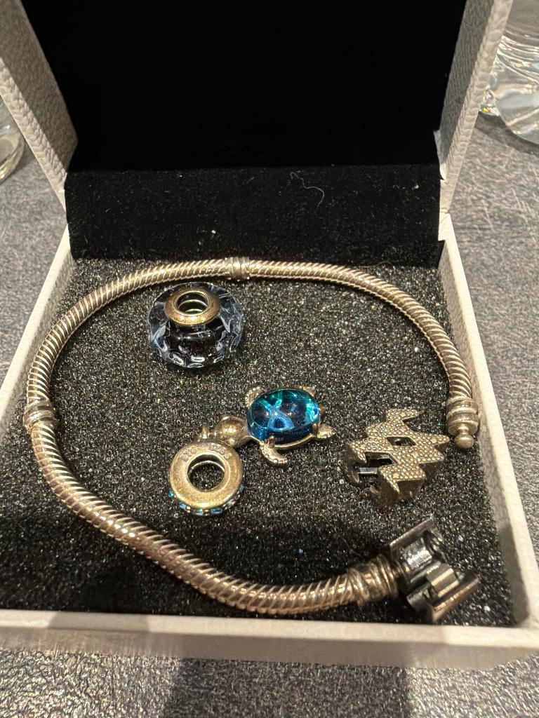 Bracelet Pandora, Bijoux, Sacs & Beauté, Bracelets, Neuf, Argent, Argent, Enlèvement