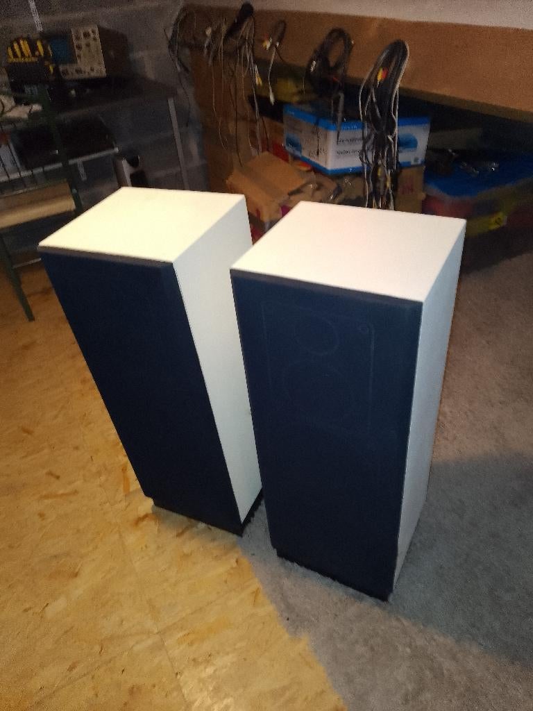 2 enceintes 100 watts rms, TV, Hi-fi & Vidéo, Enceintes, Autres marques, 60 à 120 watts, Enlèvement, Utilisé