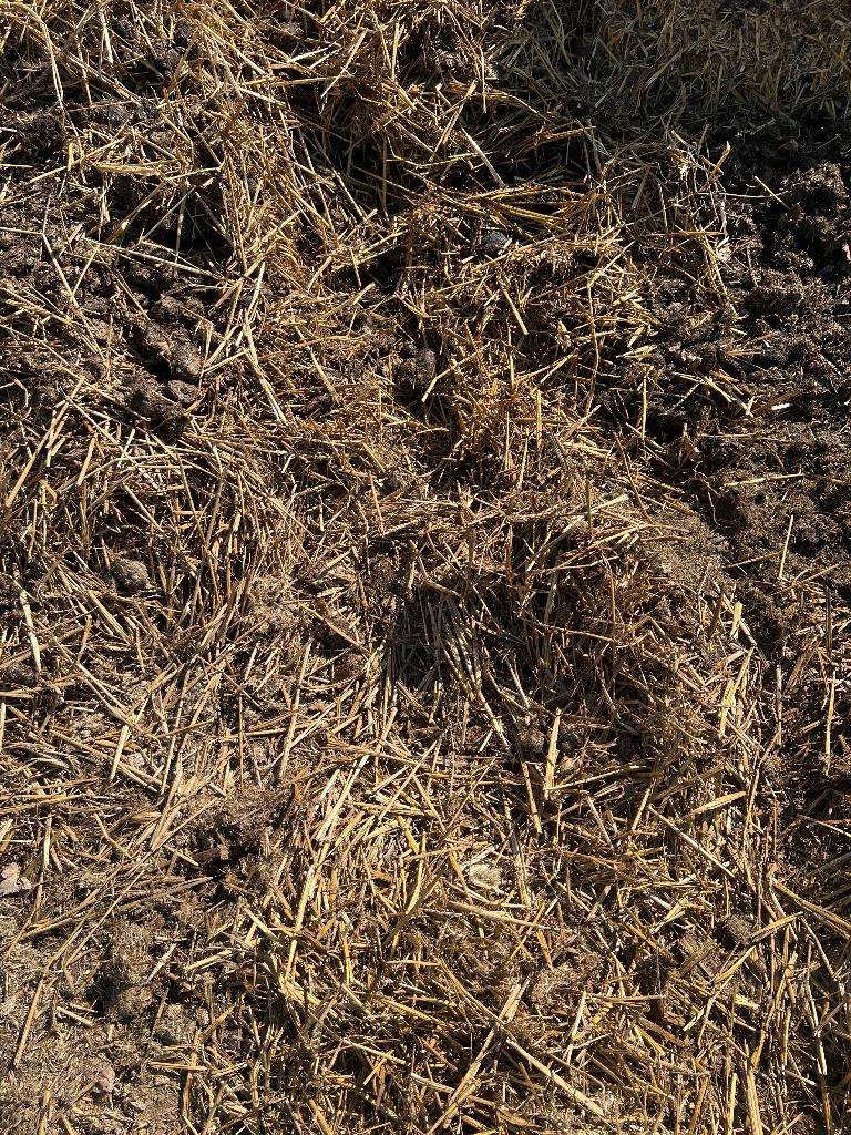 Gratis paardenmest op stro, Ophalen, Mest