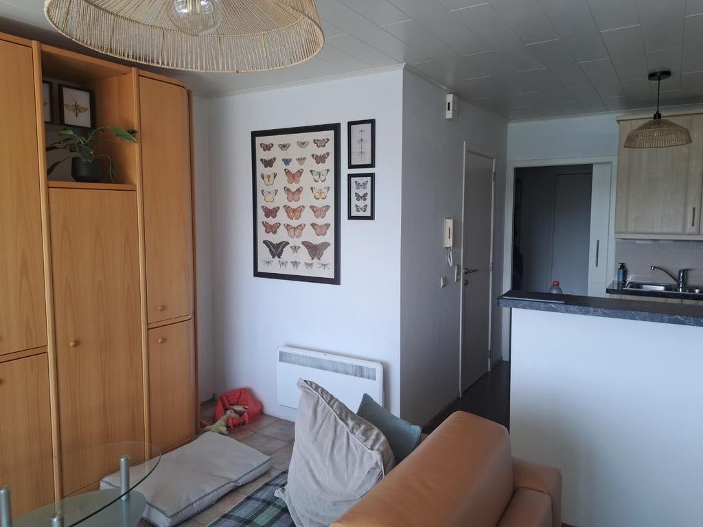 Armoire murale à vendre, Avec porte(s), 300 cm ou plus, Enlèvement, Utilisé