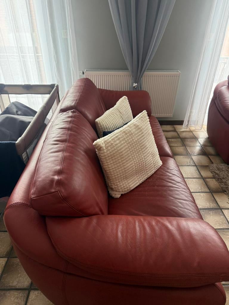 Salon de marque Natuzzi, Enlèvement, Cuir