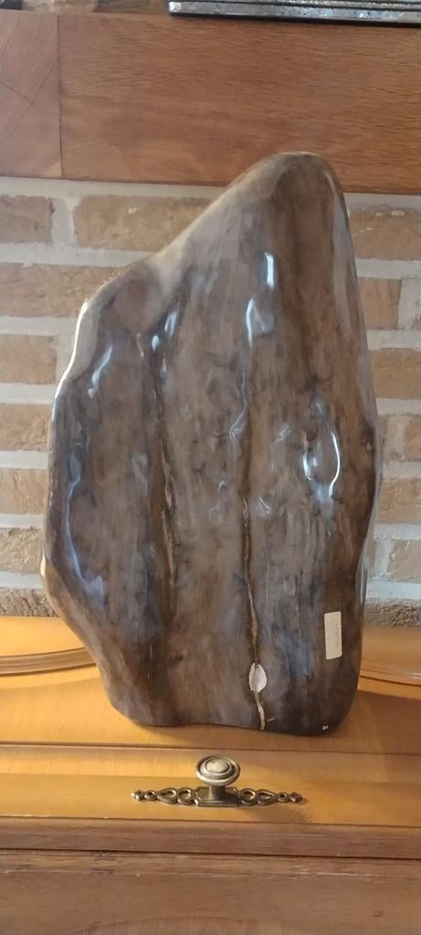 Versteend hout, Verzamelen, Mineralen en Fossielen, Ophalen