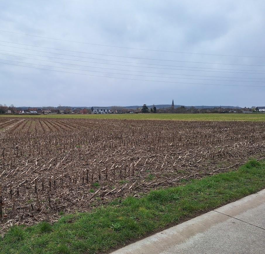 Landbouwgrond Rotselaar  31 are 16 ca, Immo, Gronden en Bouwgronden, Rotselaar Leuven, Verkoop zonder makelaar, 1500 m² of meer