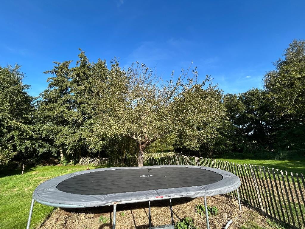 Trampoline BERG, Enfants & Bébés, Jouets | Extérieur | Trampolines, Utilisé, Enlèvement ou Envoi