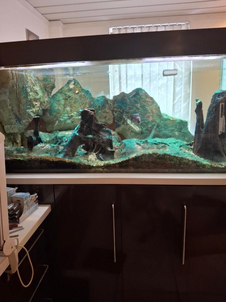 Aquarium 770 l, Animaux & Accessoires, Enlèvement, Comme neuf, Autres types