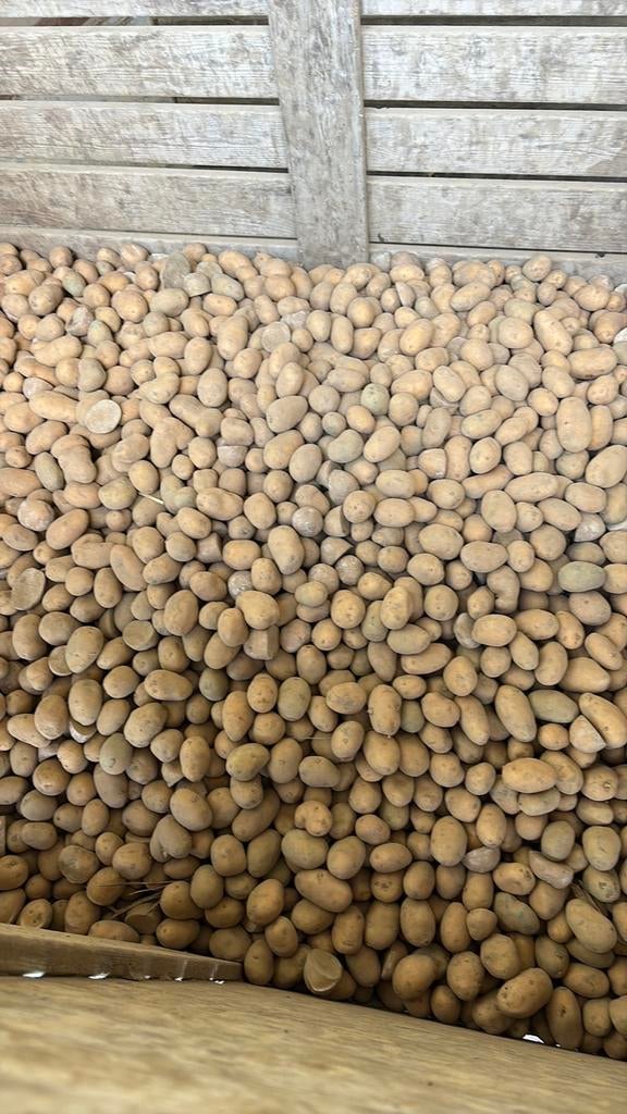 Pommes de terre pour l'alimentation animale, Enlèvement ou Envoi