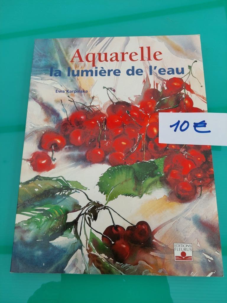LIVRES POUR AQUARELLISTES, Enlèvement, Comme neuf, Peinture et dessin, Divers