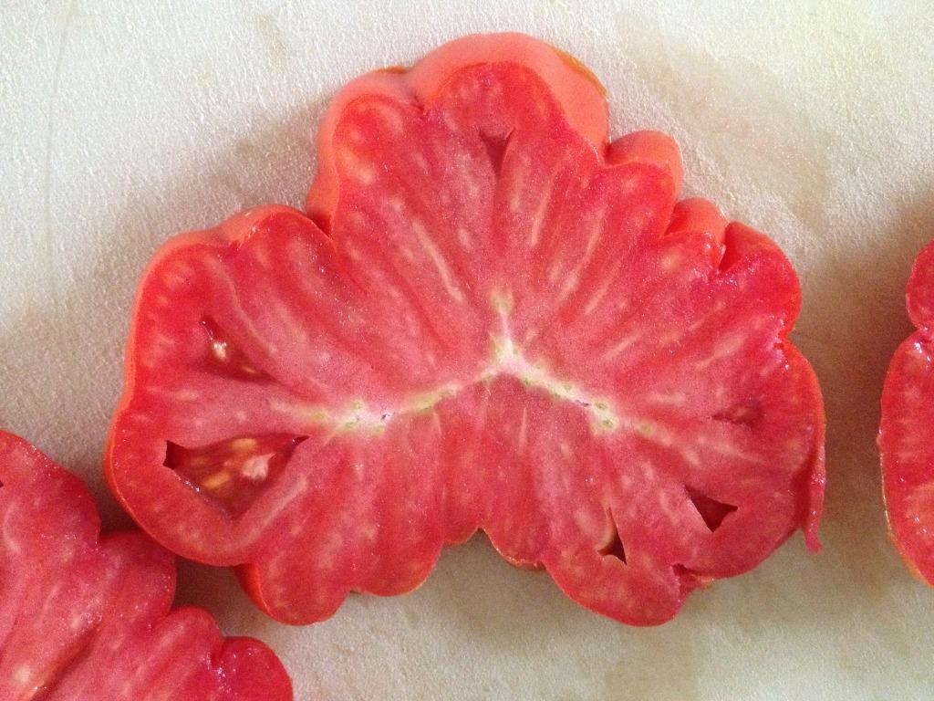 5 graines de tomates Coeur de Boeuf Albenga, Jardin & Terrasse, Bulbes & Semences, Envoi, Printemps, Graine