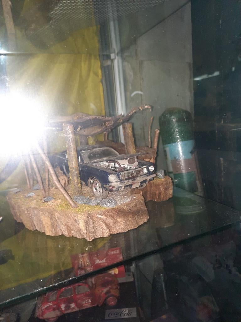 Verschillende modelautos 1/18, Ophalen