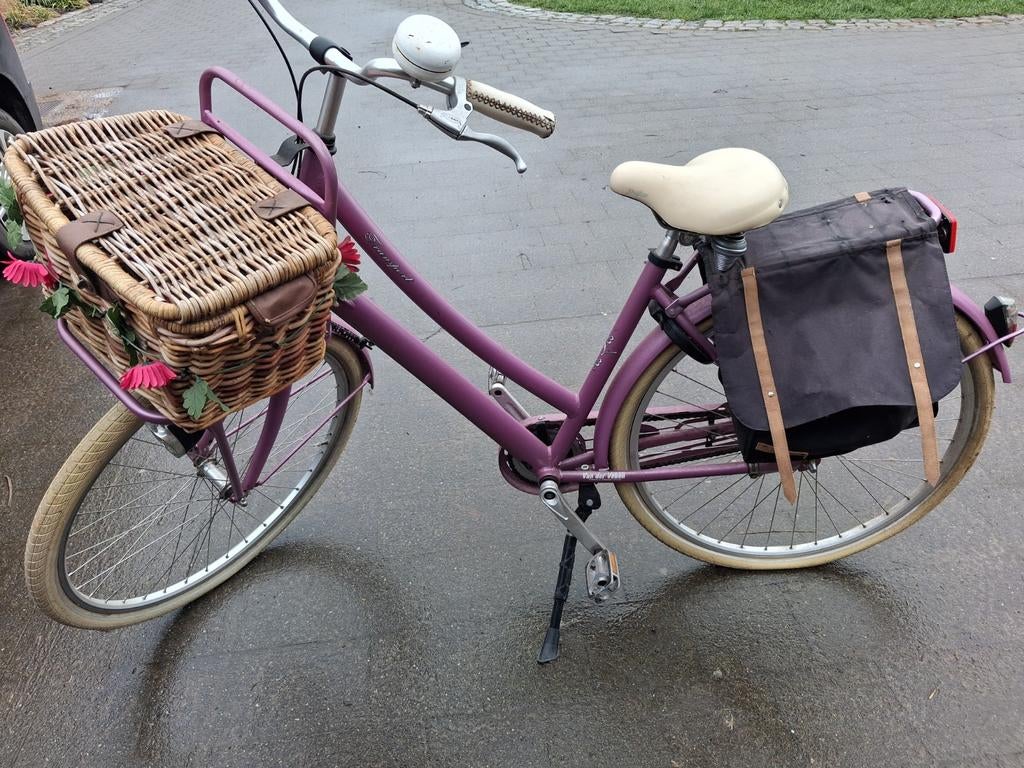 Tiener fiets meisje, Ophalen