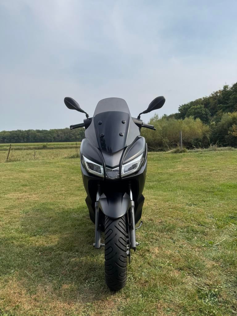 Scooter aprilia sxr 50, Permis Moto A, Scooter, Jusqu'à 11 kW, Transmission par cardan