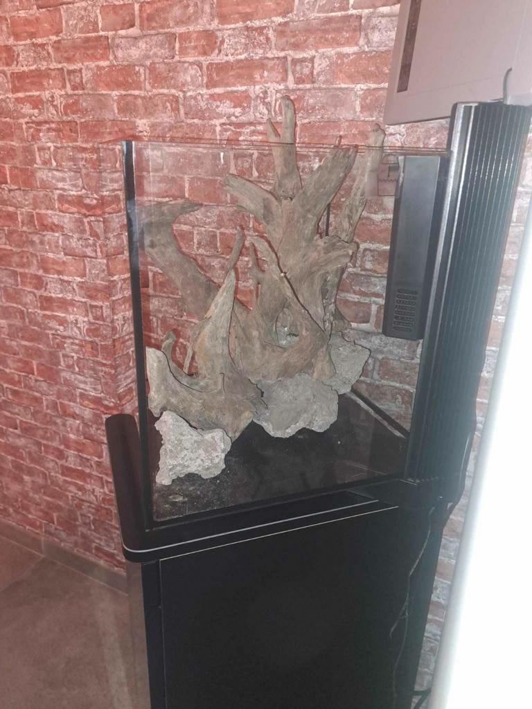 Aquaruim met toebehoren, Dieren en Toebehoren, Vissen | Aquaria en Toebehoren, Ophalen