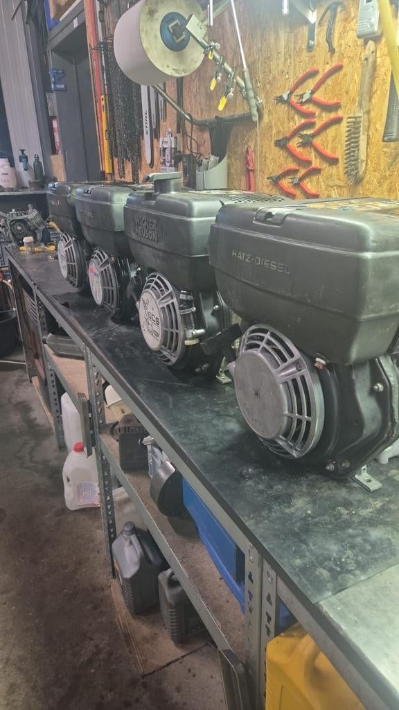 Hatz 1B20, Doe-het-zelf en Bouw, Ophalen