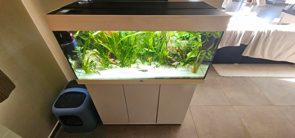 Aquarium 180 liter wit, Enlèvement