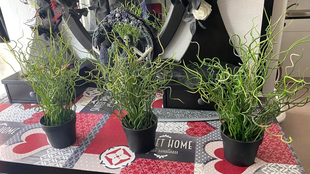 Set van 3 IKEA kunstplanten, Ophalen, Gebruikt