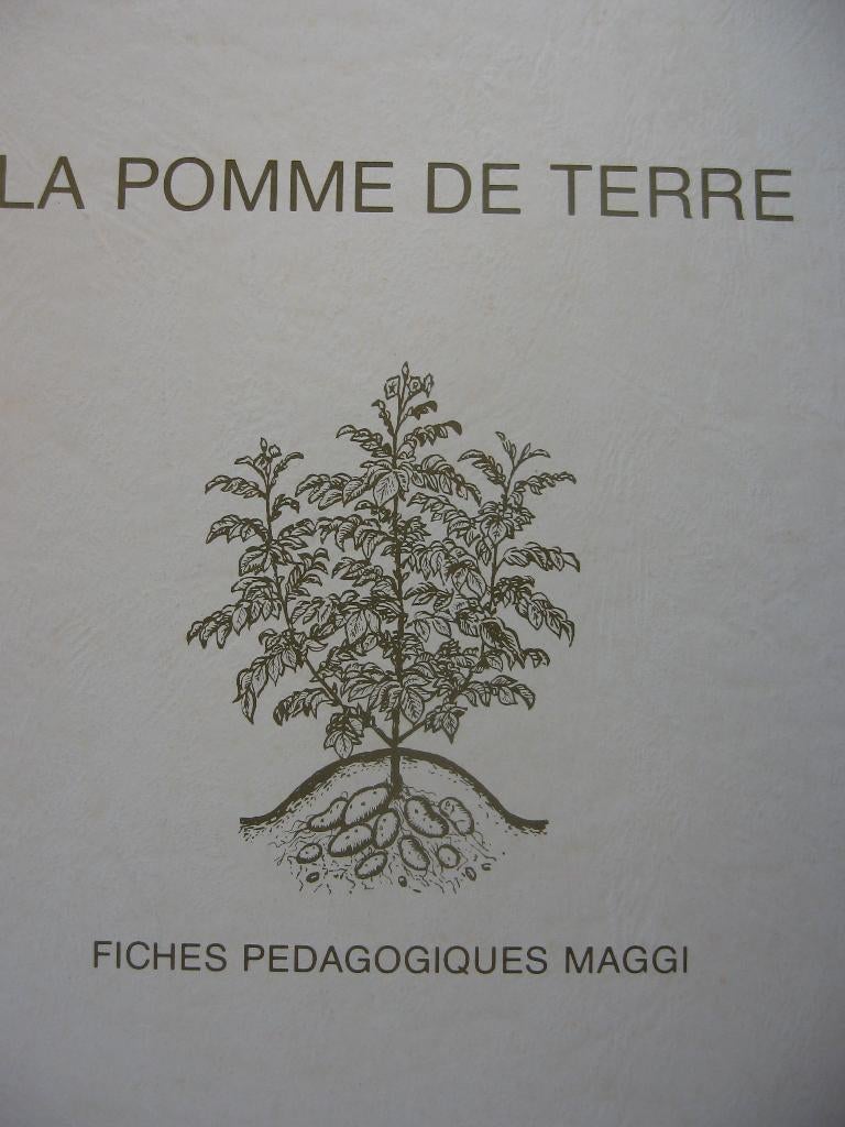 Farde sur la pomme de terre, Enlèvement ou Envoi, Neuf