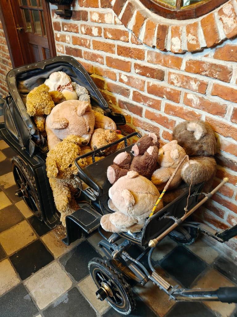 Unieke hondenkoets, Enlèvement