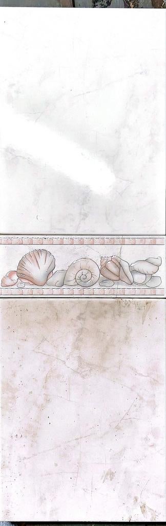 Carrelage mural wc/sdb, Enlèvement, Beige