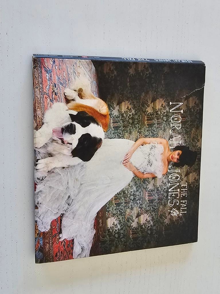 The Fall norah jones, Ophalen of Verzenden