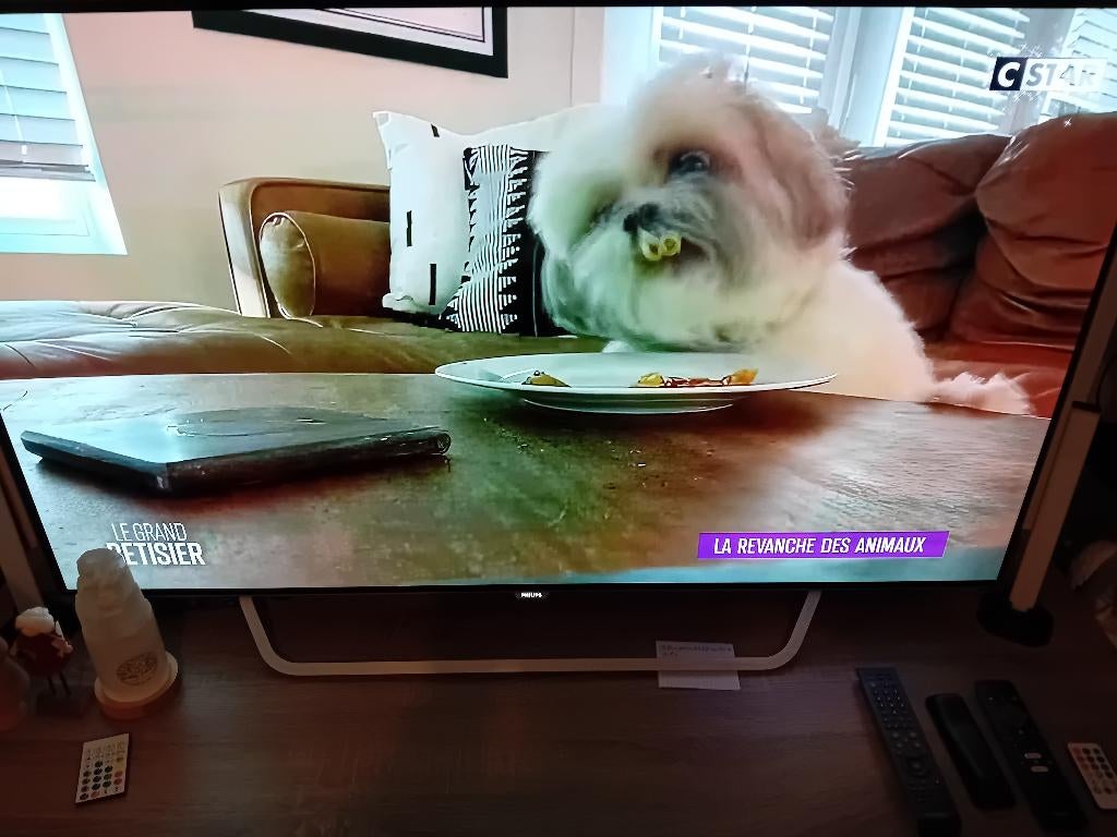 Tv philips, Audio, Tv en Foto, Televisies, Ophalen, OLED, Philips