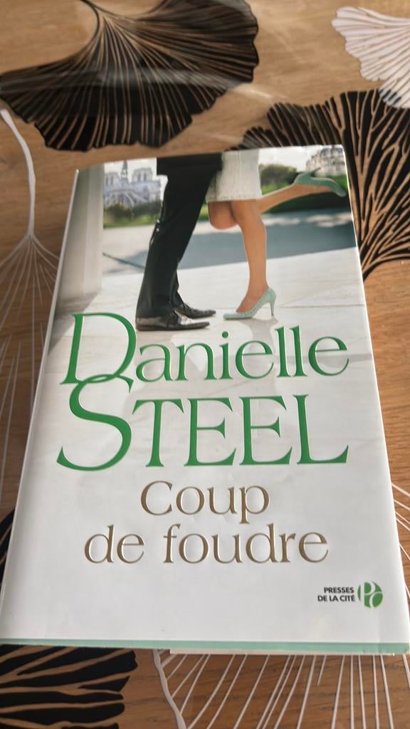 Livre Danielle Steel Ciup de foudre, Boeken, Chicklit, Gelezen, Ophalen of Verzenden