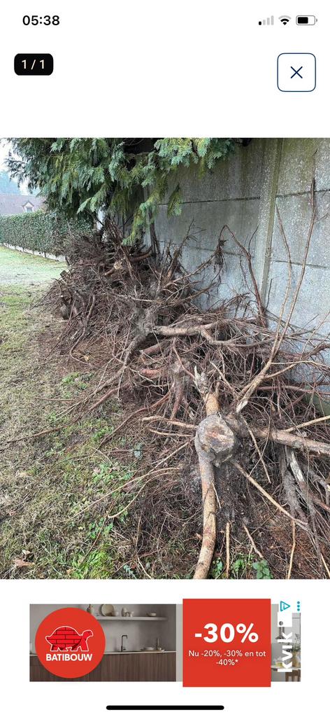 Boomstronken. Liggen droog onder bomen., Ophalen