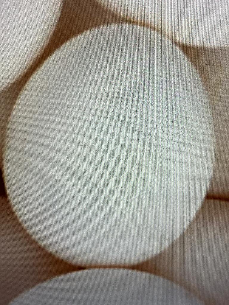 GEZOCHT Kuikens-Broedeieren Bresse, Sussex, Mechelse Koekoek, Dieren en Toebehoren, Pluimvee, Kip