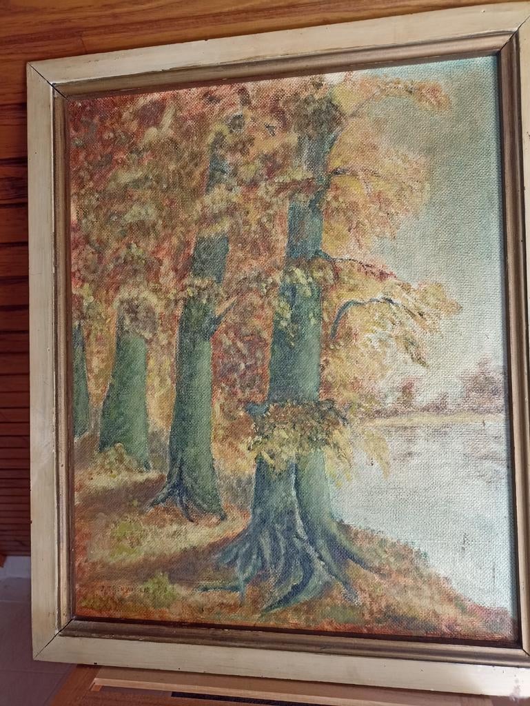 Schilderij 'zicht in het Zoniënwoud ', Antiek en Kunst, Ophalen