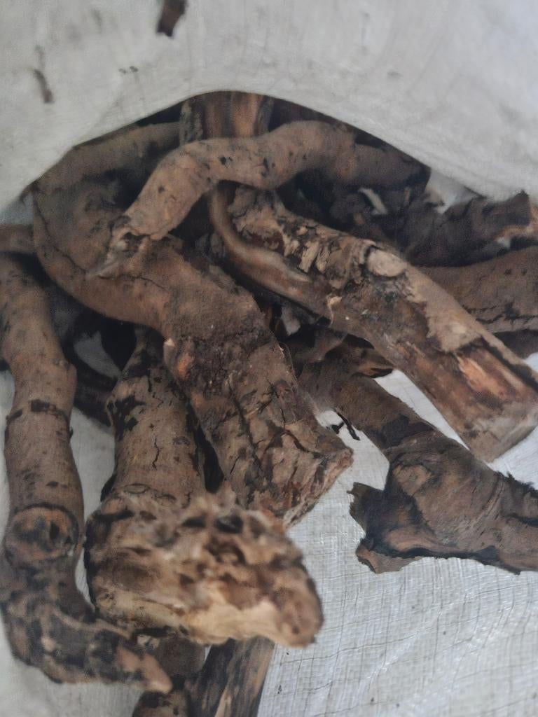 Boomtakken GRATIS, Ophalen, Takken