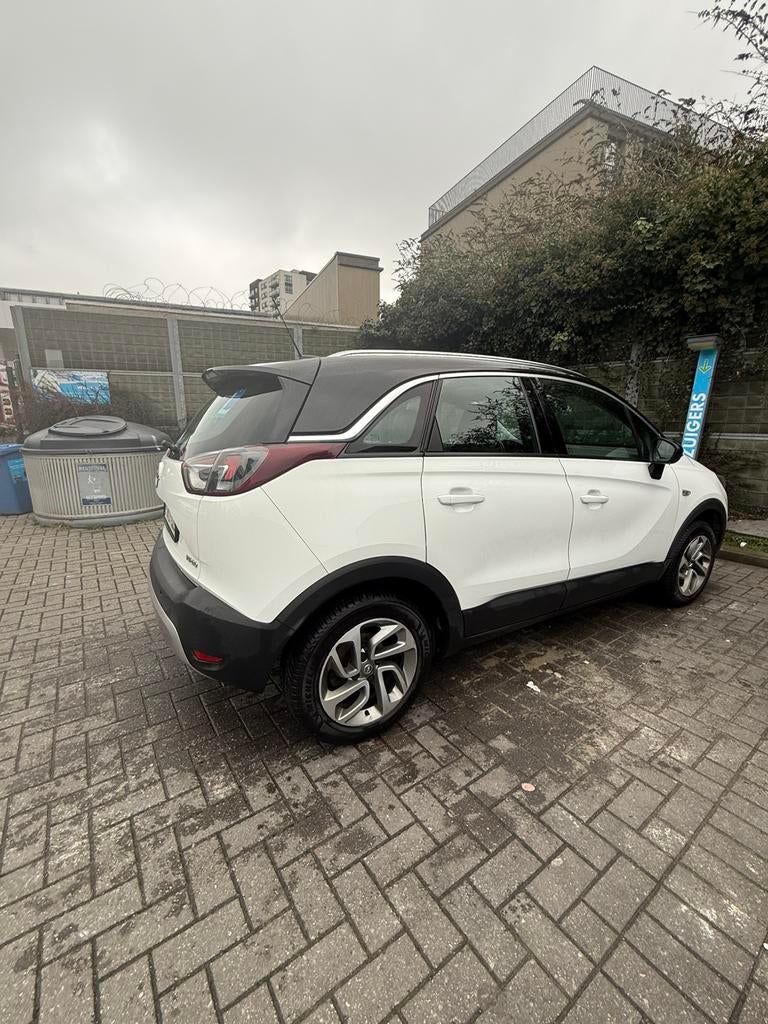 Opel, Autos, Opel, Achat, Euro 6, Entreprise, 109 g/km