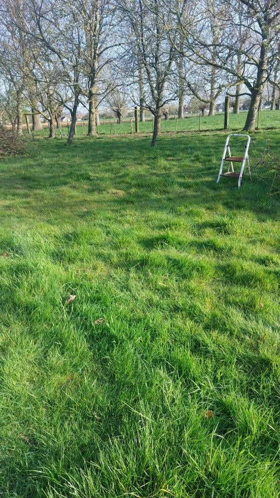 Gratis weide, Dieren en Toebehoren, Overige Dieren-accessoires, Zo goed als nieuw, Ophalen