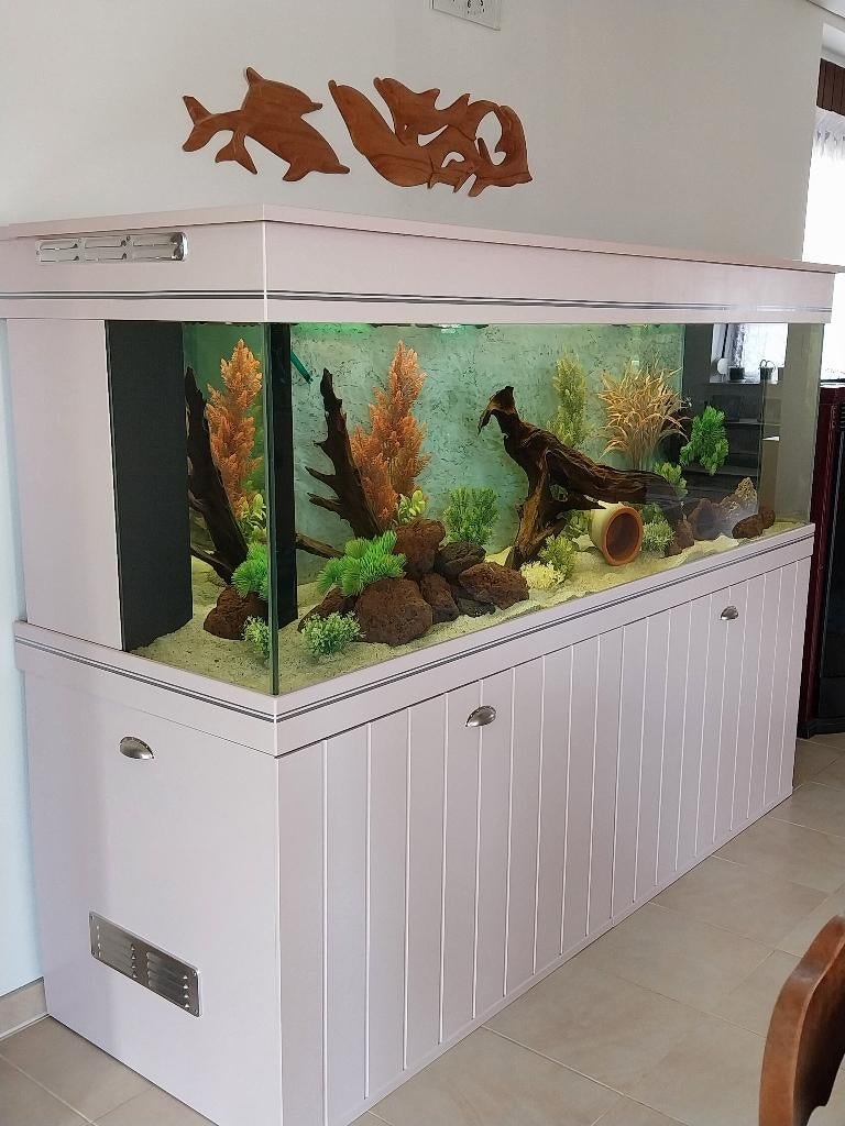 grand aquarium a vendre de 840 litres avec meuble, Enlèvement, Comme neuf, Aquarium d'eau douce rempli