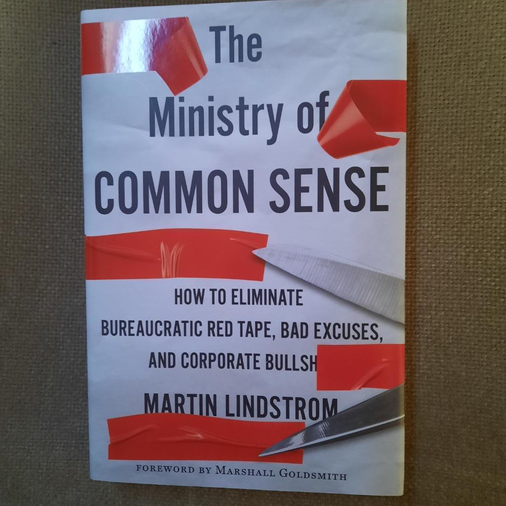 The Ministry of Common Sense _ Martin Lindstrom - ENGELS, Livres, Économie, Management & Marketing, Enlèvement ou Envoi