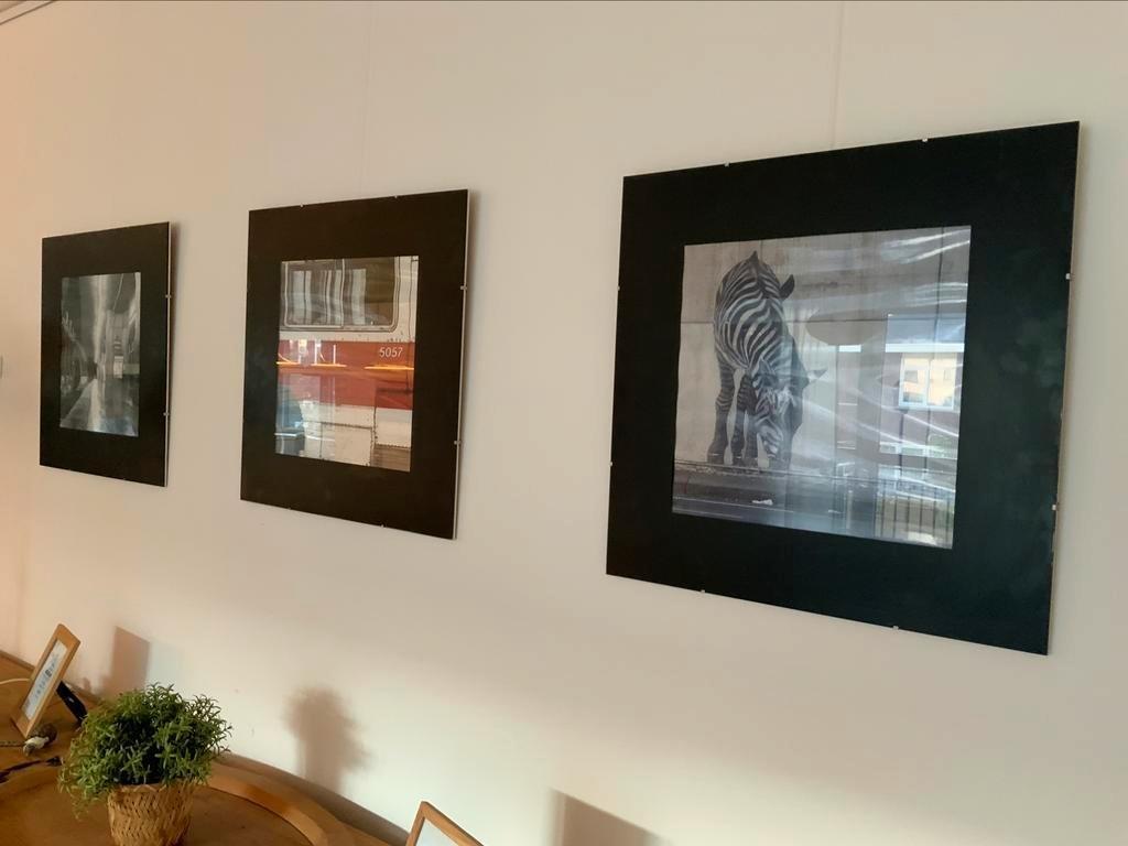 3x fotolijst IKEA Clips 50x50, Enlèvement, Comme neuf