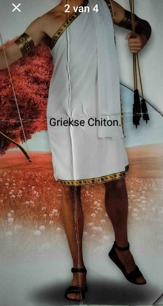 Nieuwe karnavalskleed met accessoires. Maat 40/L., Enlèvement, Taille 38/40 (M)