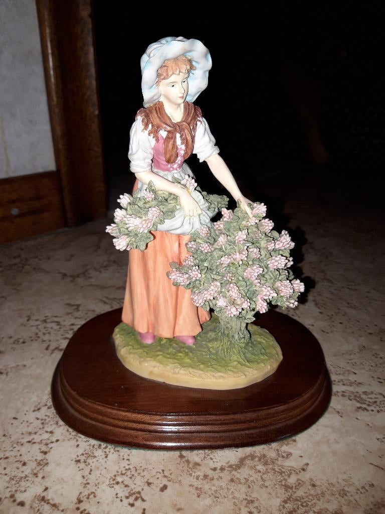 The Leonardo collection: Charlotte, Ophalen, Gebruikt, Mens