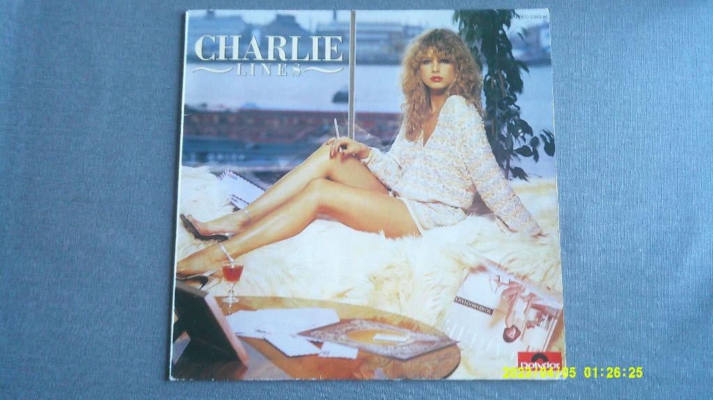 Charlie – Lines (LP), CD & DVD, Vinyles | Rock, Utilisé, Enlèvement ou Envoi