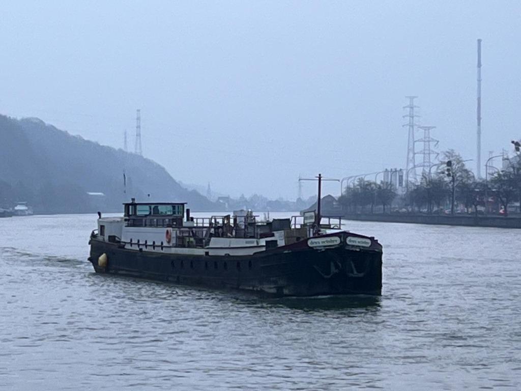 Péniche d'habitation type Spits 1958, Immo, 200 m², Huy, 4 pièces, Liège (ville)