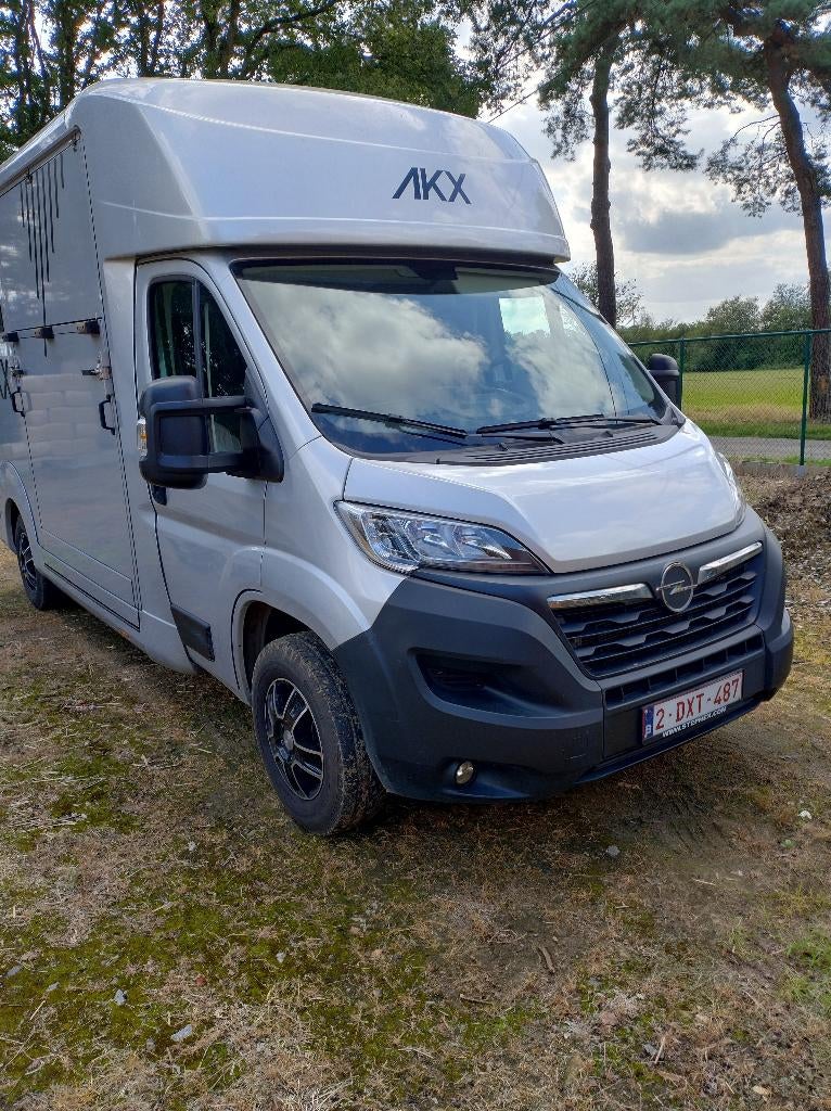 Paardencamionette te huur, Cheval ou Poney