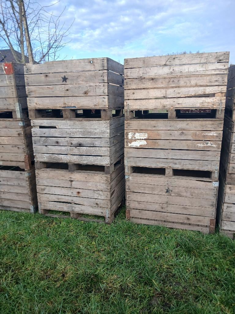 paloxen, Enlèvement