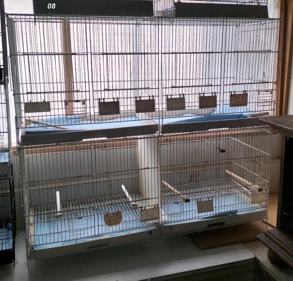 Kweekkooien, Enlèvement, Utilisé, Autres matériaux, Cage d'élevage