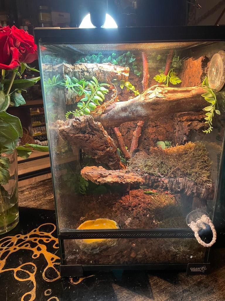 Terraria; van klein tot middelgroot. + alle extras, Verzenden, Zo goed als nieuw