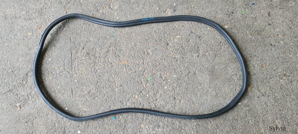 Portier deurrubber achterzijde BMW 1 serie F20 7240834, Auto-onderdelen, Gebruikt, -, -, Ophalen of Verzenden