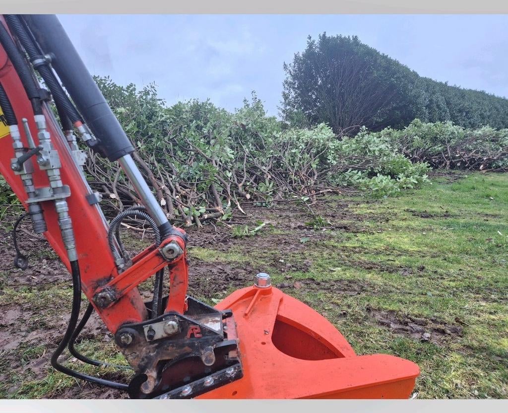 Machinaal verwijderen van hagen, bomen, Enlèvement ou Envoi