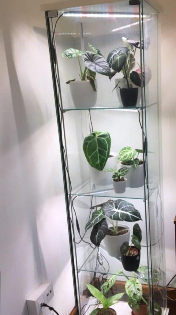 Aangepaste vitrinekast voor planten, Maison & Meubles, Enlèvement