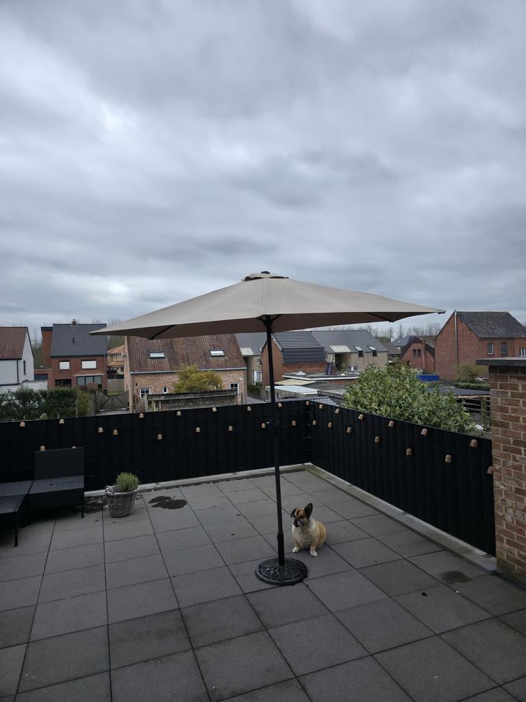 Paraplu met Antieke Standaard, Bijoux, Sacs & Beauté, Parapluies, Enlèvement