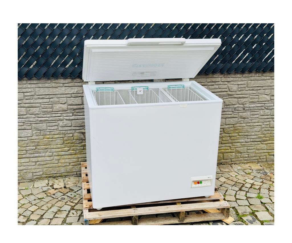 Congélateur Miele eco Plus 284L diepvries, Electroménager, Congélateurs, Utilisé, Congélateur, Congélateur, Enlèvement