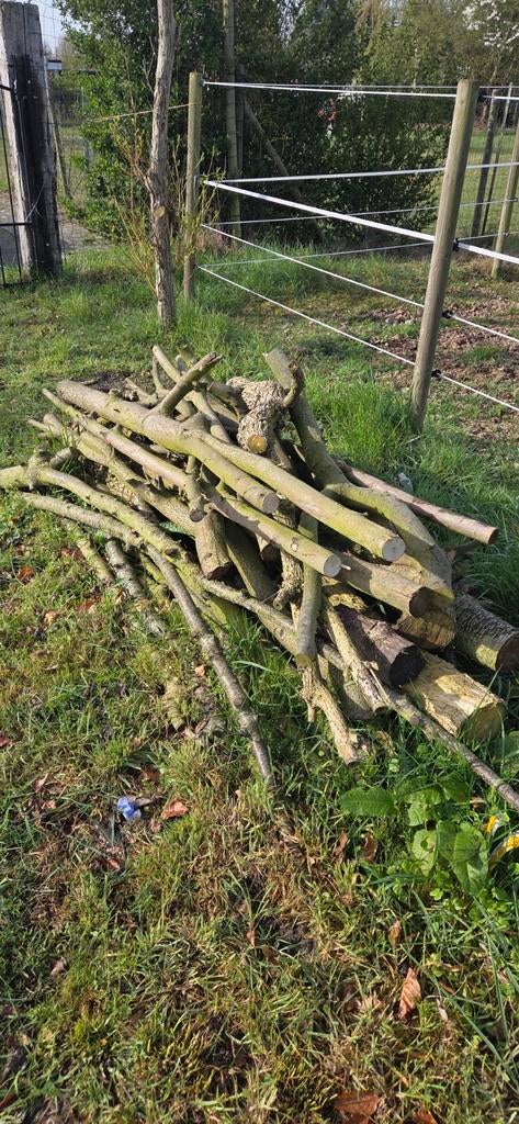 Gratis brandhout, Enlèvement